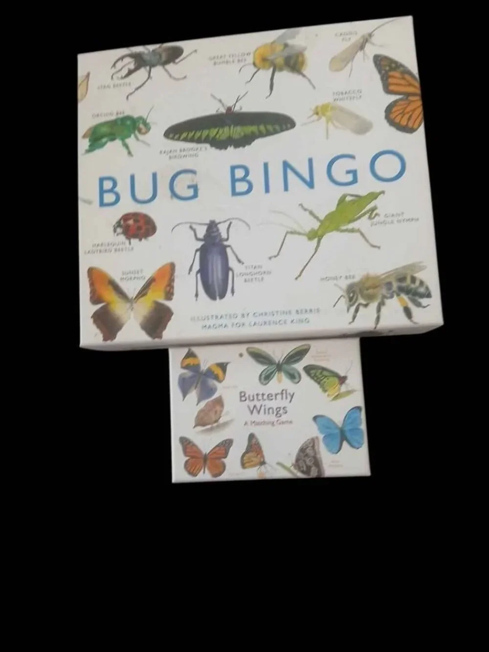 Magma for Laurence King Bug Bingo and Butterfly Wings Matching Game